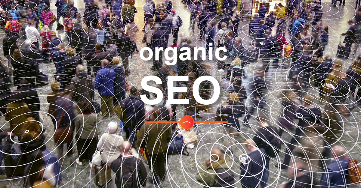 Organic SEO